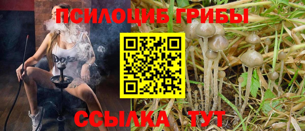 Галлюциногенные грибы мухоморы  Вход с VPN  где купить наркотик  Галлюциногенные грибы ЛСД  Ноябрьск 