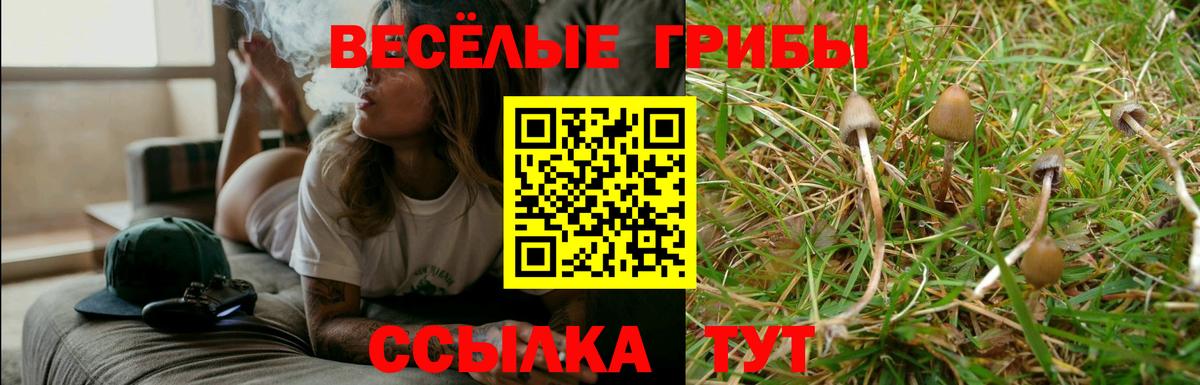 Галлюциногенные грибы GOLDEN TEACHER Ноябрьск
